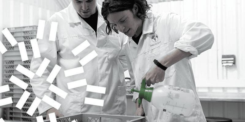 BTS BioALC : Matières et Programme des 2 années BTS BioALC : Matières et Programme des 2 années